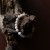bracelet-desert-rose-on-wood.jpg